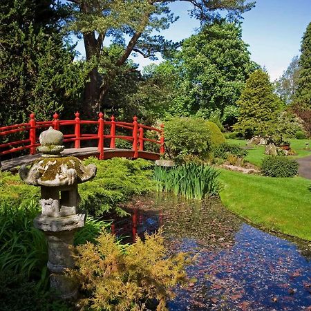 The Curragh Country House Accommodation Newbridge  Extérieur photo
